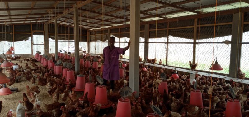 Méagui, Côte d'Ivoire